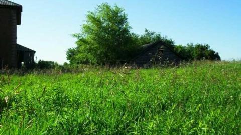 Photo from 4X4 Driveway