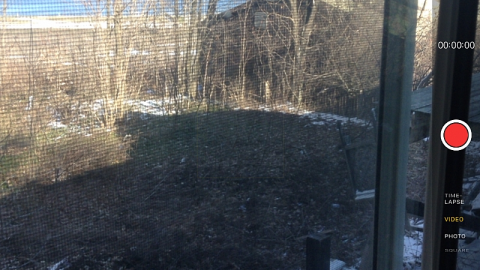 First trip 2016 - Long-forgotten-beauty71.png