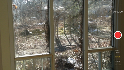 First trip 2016 - Long-forgotten-beauty75.png