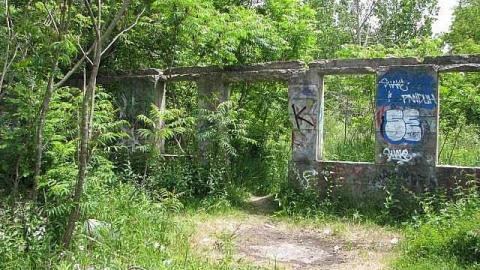 Re-Claimed by Nature - Valley-Farm-J.-Palmer-Home9.jpg