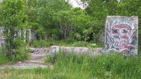 Re-Claimed by Nature - Valley-Farm-J.-Palmer-Home10.jpg