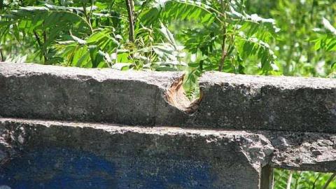 Re-Claimed by Nature - Valley-Farm-J.-Palmer-Home11.jpg