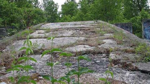 Re-Claimed by Nature - Valley-Farm-J.-Palmer-Home25.jpg