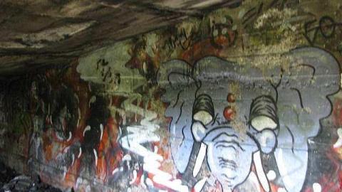 Re-Claimed by Nature - Valley-Farm-J.-Palmer-Home13.jpg