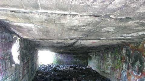 Re-Claimed by Nature - Valley-Farm-J.-Palmer-Home27.jpg