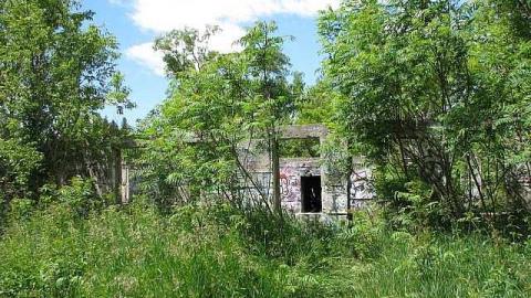 Re-Claimed by Nature - Valley-Farm-J.-Palmer-Home14.jpg