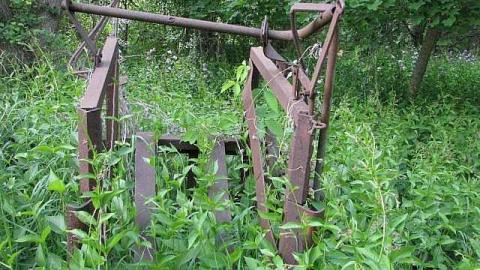 Re-Claimed by Nature - Valley-Farm-J.-Palmer-Home28.jpg