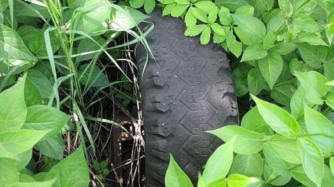 Re-Claimed by Nature - Valley-Farm-J.-Palmer-Home15.jpg