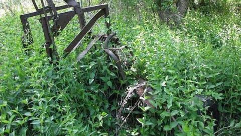 Re-Claimed by Nature - Valley-Farm-J.-Palmer-Home16.jpg