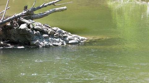 Re-Claimed by Nature - Valley-Farm-J.-Palmer-Home30.jpg