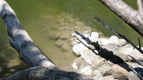 Re-Claimed by Nature - Valley-Farm-J.-Palmer-Home17.jpg