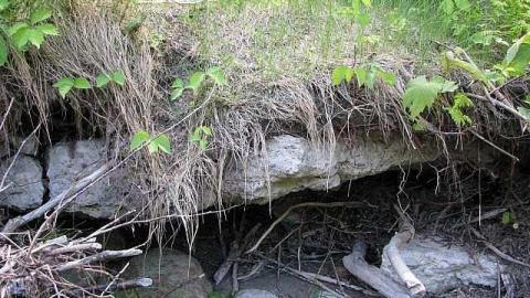 Re-Claimed by Nature - Valley-Farm-J.-Palmer-Home31.jpg