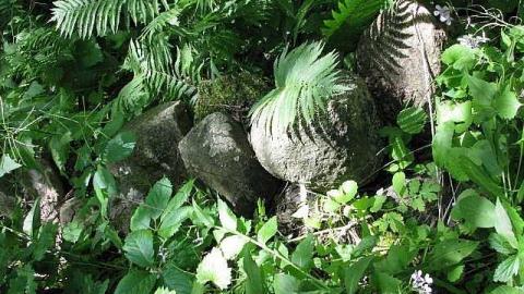 Re-Claimed by Nature - Valley-Farm-J.-Palmer-Home18.jpg