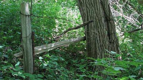 Re-Claimed by Nature - Valley-Farm-J.-Palmer-Home5.jpg