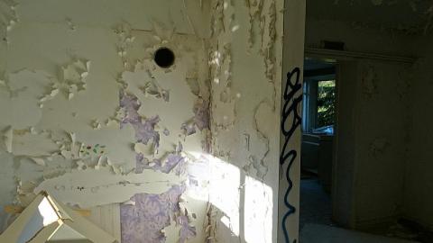 June 10, 2016 - DSC00860.jpg