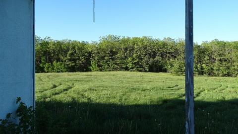 June 10, 2016 - DSC00867.jpg