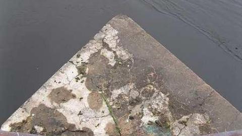 Photo from Summer 2016