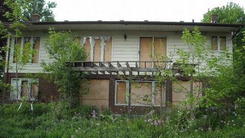 Swamp house - House-In-The-Swamp111.jpg