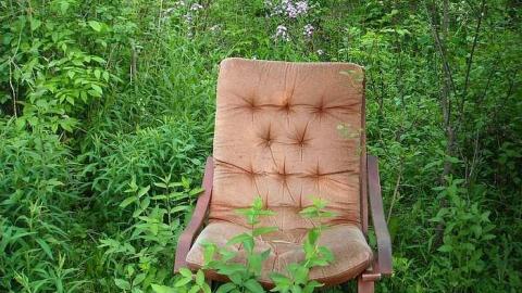 Photo from Swamp house