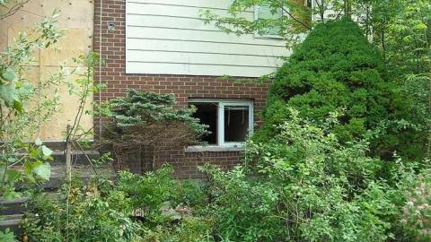 Swamp house - House-In-The-Swamp112.jpg