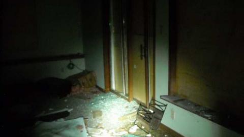 Photo from Swamp house