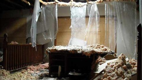 Photo from Swamp house