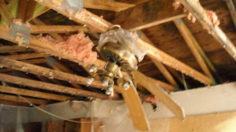 Swamp house - House-In-The-Swamp104.jpg