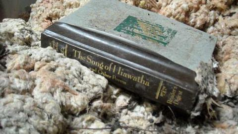 Swamp house - House-In-The-Swamp105.jpg