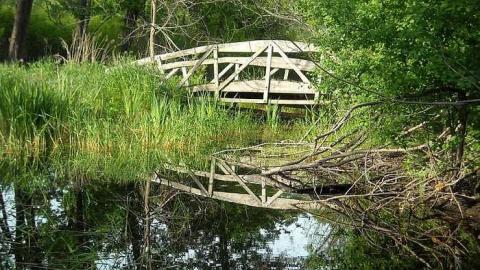 Swamp house - House-In-The-Swamp107.jpg