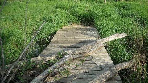 Swamp house - House-In-The-Swamp108.jpg