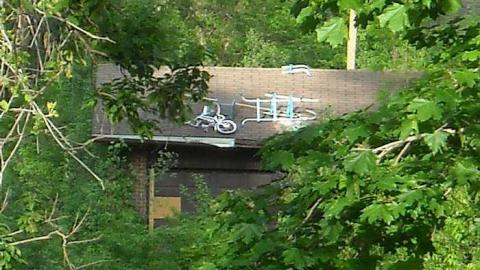 Swamp house - House-In-The-Swamp109.jpg