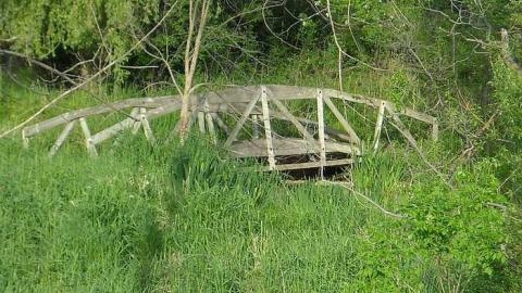 Swamp house - House-In-The-Swamp110.jpg