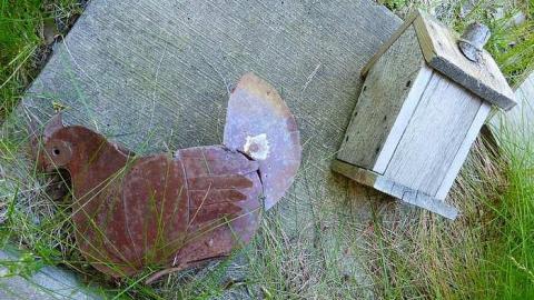 Rock On - This-Beat-Goes-On3.jpg