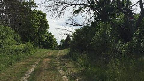 Photo from June 2016