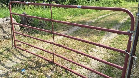 Photo from June 2016