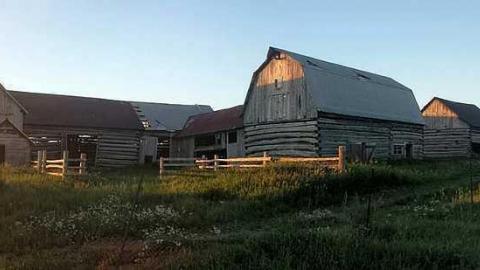 FARM - Dead-End-Farm8.jpg