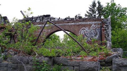 June 11 2016 - Lemieux-Island115.jpg