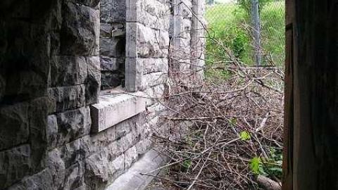 June 11 2016 - Lemieux-Island118.jpg