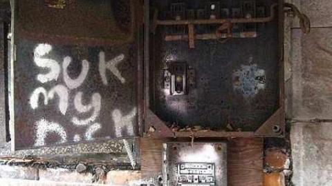 June 11 2016 - Lemieux-Island119.jpg