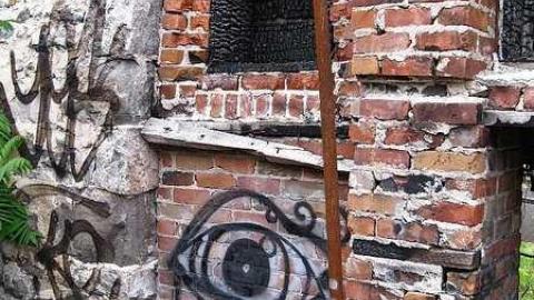 June 11 2016 - Lemieux-Island121.jpg