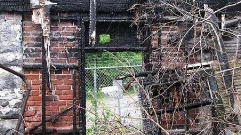 June 11 2016 - Lemieux-Island124.jpg