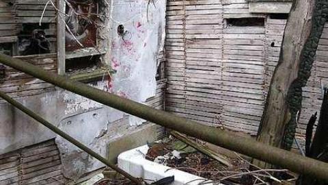 June 11 2016 - Lemieux-Island125.jpg