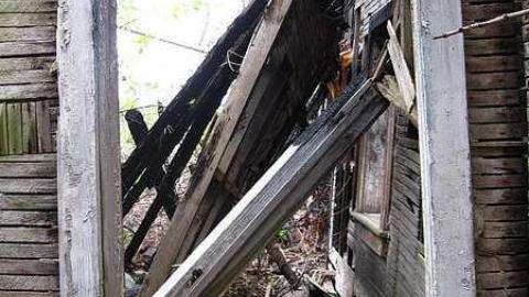 June 11 2016 - Lemieux-Island126.jpg