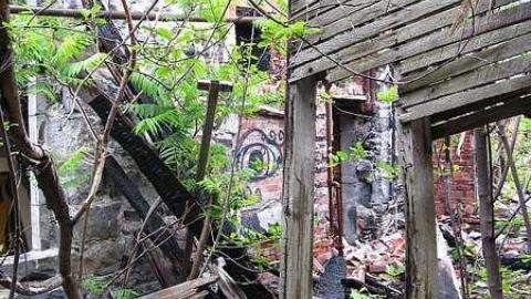 June 11 2016 - Lemieux-Island127.jpg