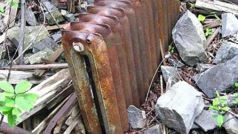 June 11 2016 - Lemieux-Island78.jpg