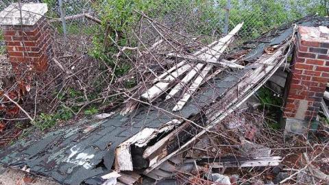 June 11 2016 - Lemieux-Island128.jpg