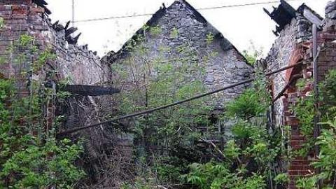 June 11 2016 - Lemieux-Island79.jpg