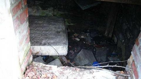 June 11 2016 - Lemieux-Island129.jpg