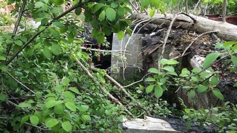 Collapsed - Duffys-Demise2.jpg