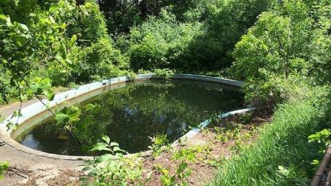 Collapsed - Duffys-Demise8.jpg